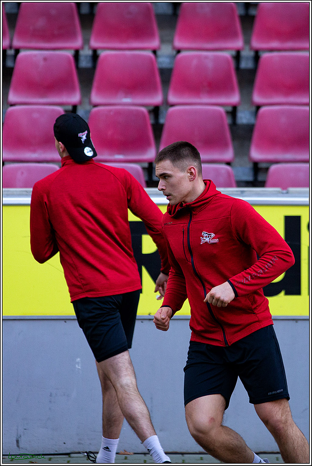 PENNY DEL; Koelner Haie- Augsburger Panther; Koeln, 08.01.2023